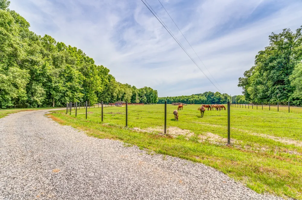 1225 Fields Dr Arlington, TN 38002