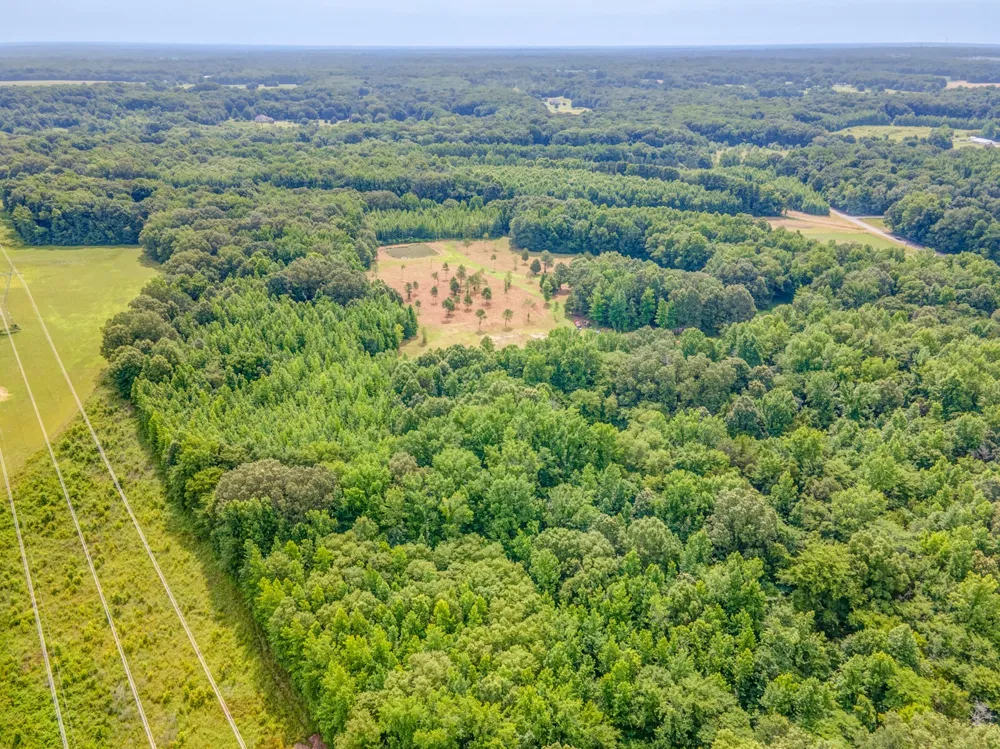 1225 Fields Dr Arlington, TN 38002