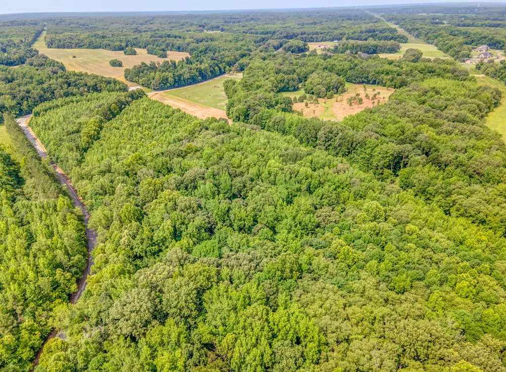 1225 Fields Dr Arlington, TN 38002