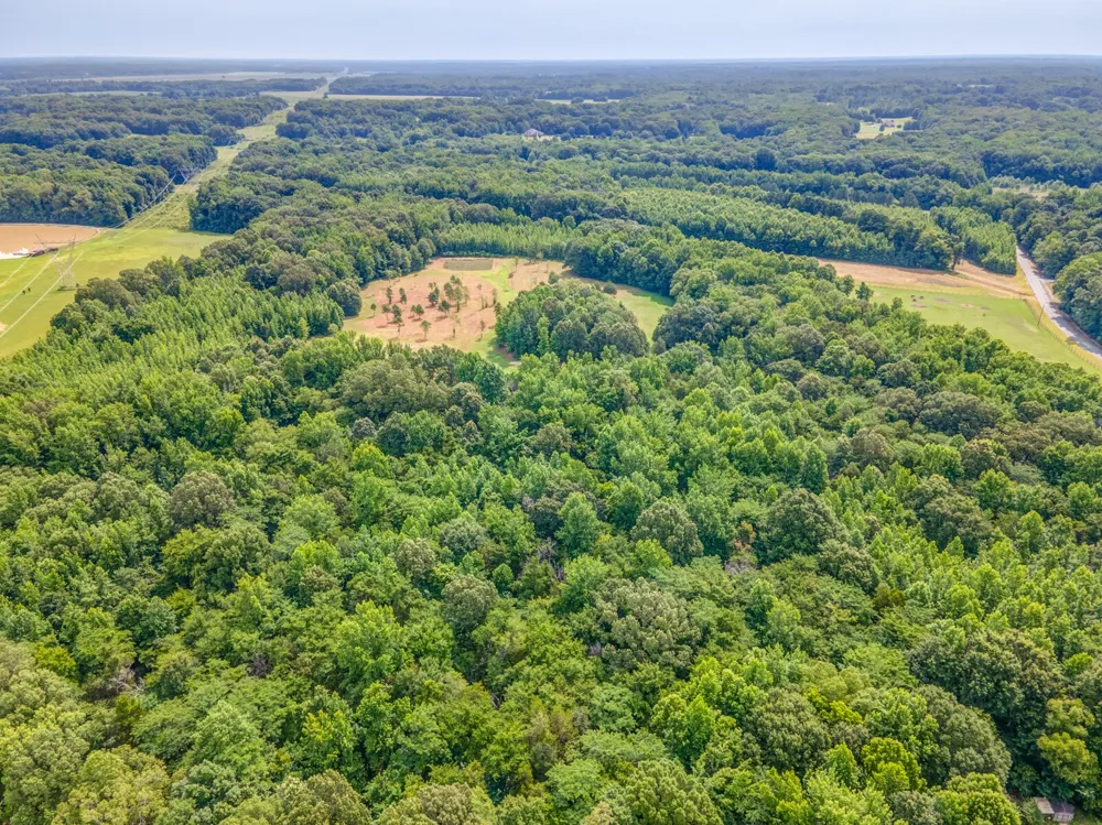 1225 Fields Dr Arlington, TN 38002