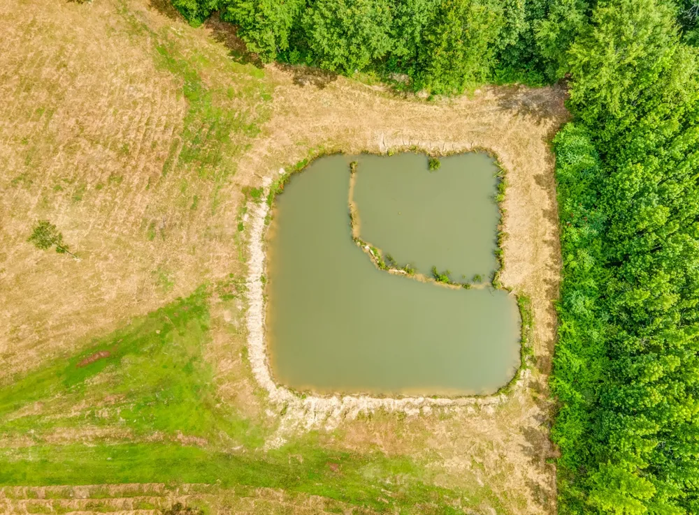 1225 Fields Dr Arlington, TN 38002