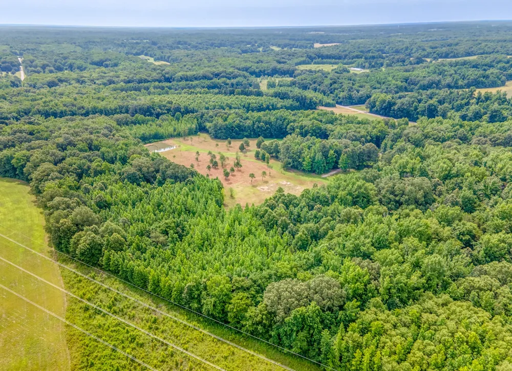 1225 Fields Dr Arlington, TN 38002