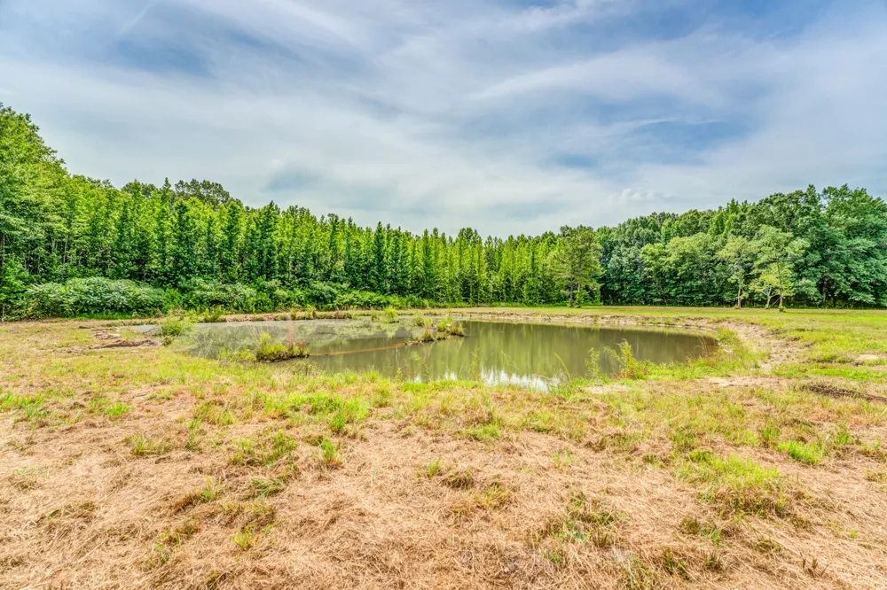 1225 Fields Dr Arlington, TN 38002