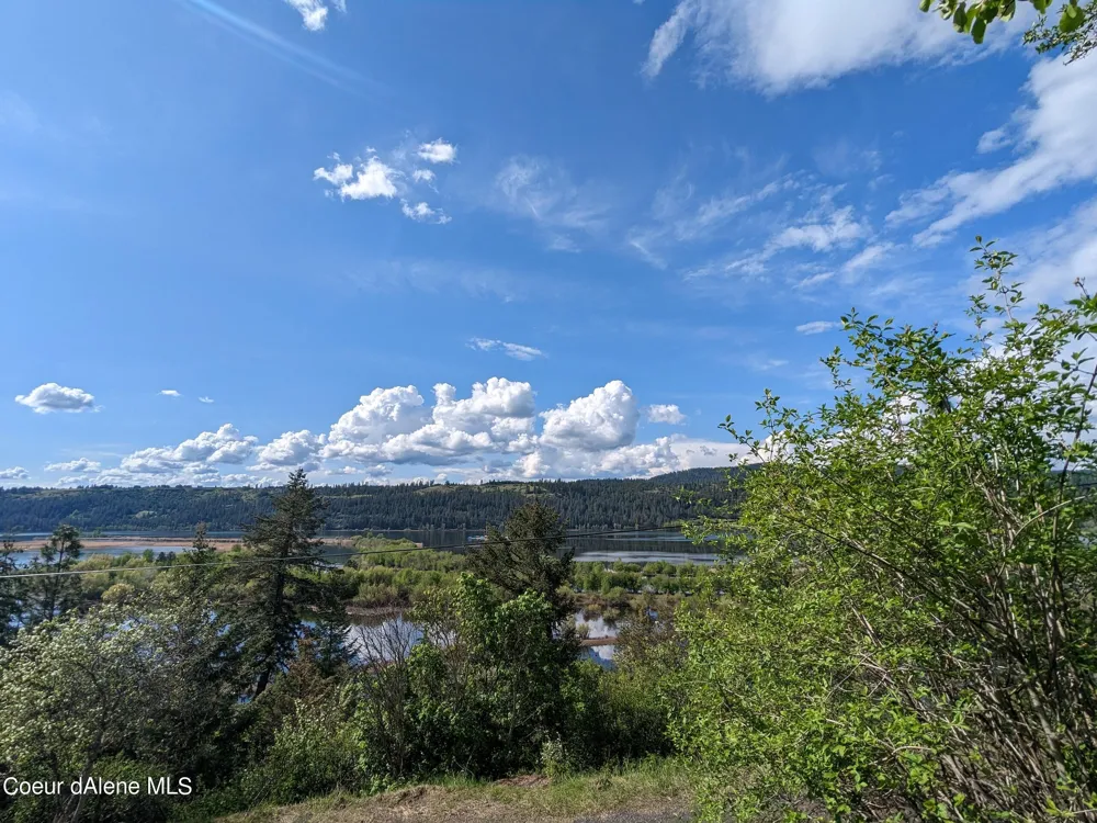NKA Frederick Avenue Lot 60 Harrison, ID 83833