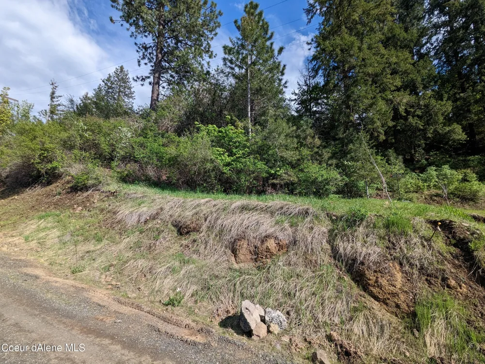 NKA Frederick Avenue Lot 59 Harrison, ID 83833