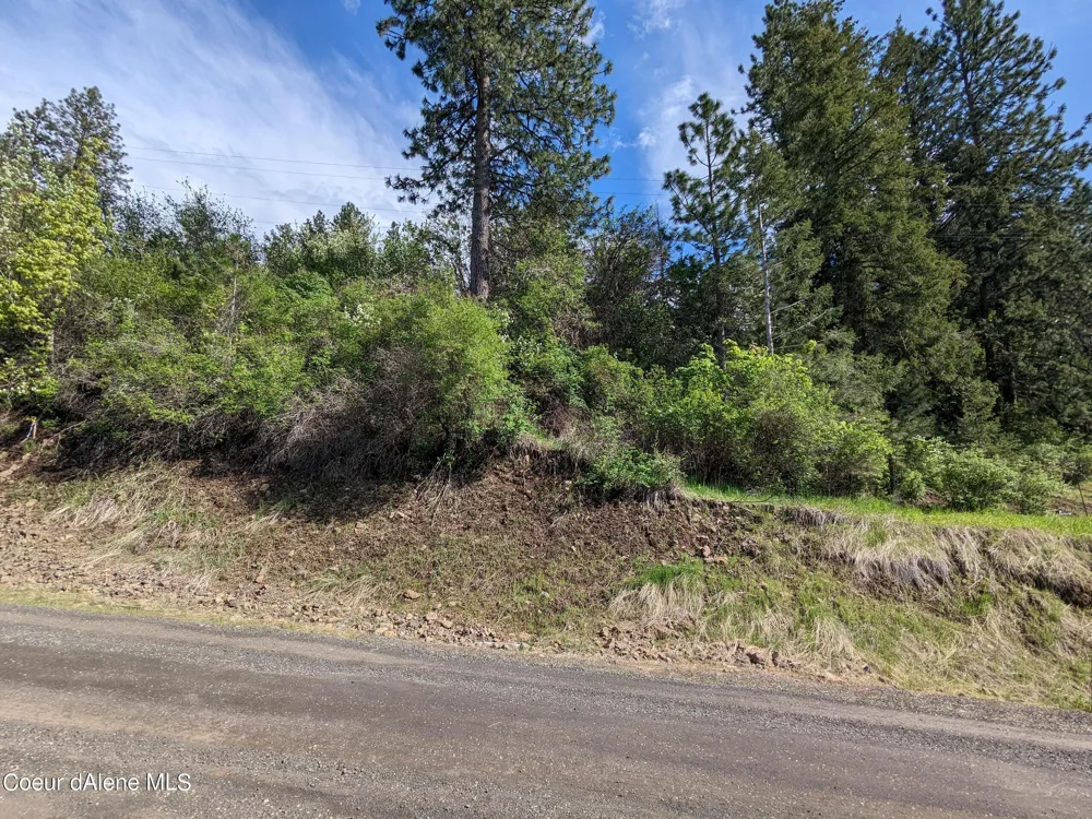 NKA Frederick Avenue Lots 59,60 Harrison, ID 83833