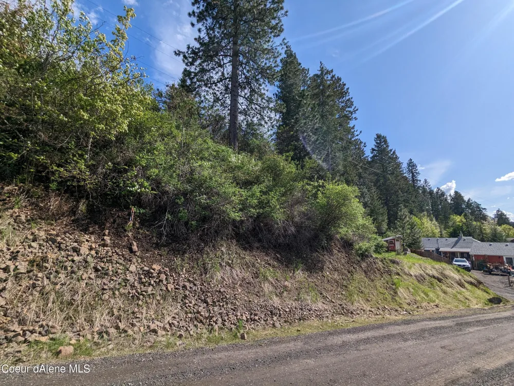 NKA Frederick Avenue Lots 59,60 Harrison, ID 83833