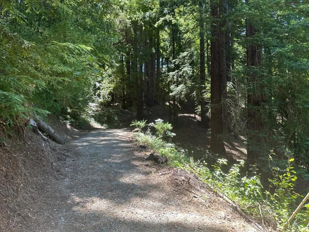 Main Boulevard Los Gatos, CA 95033