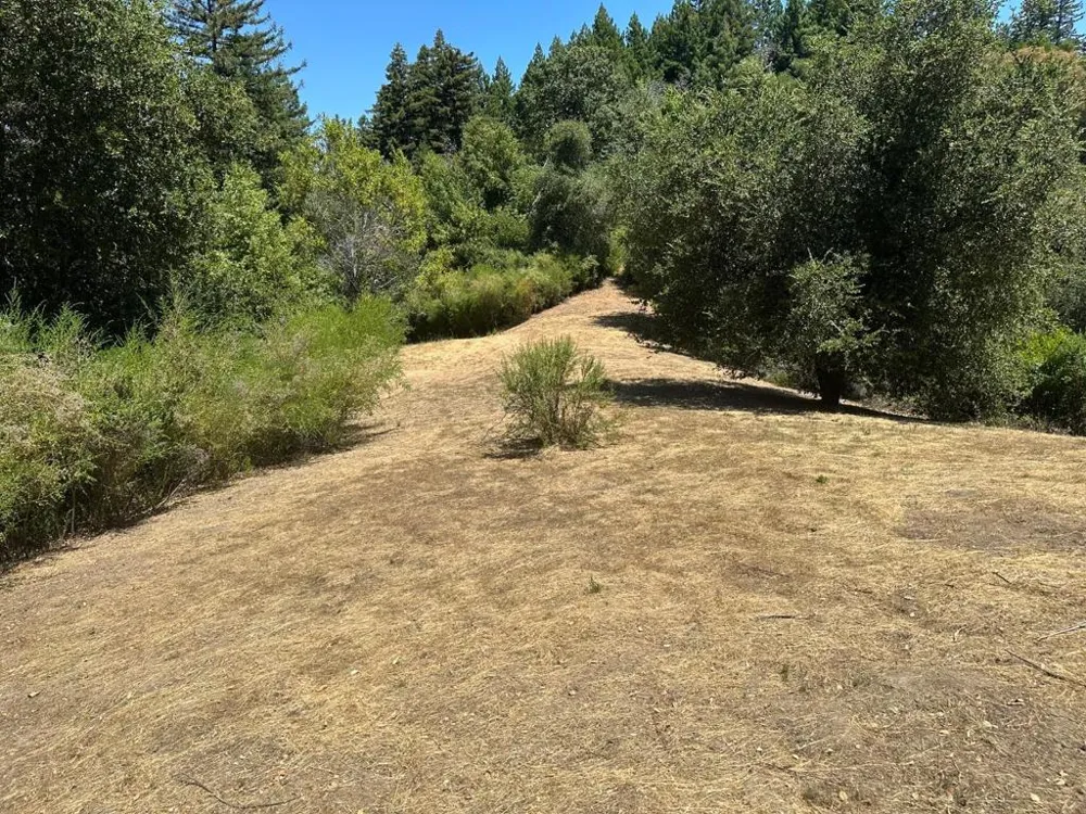 Main Boulevard Los Gatos, CA 95033