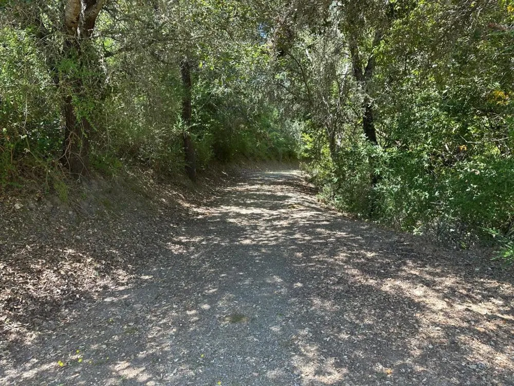 Main Boulevard Los Gatos, CA 95033