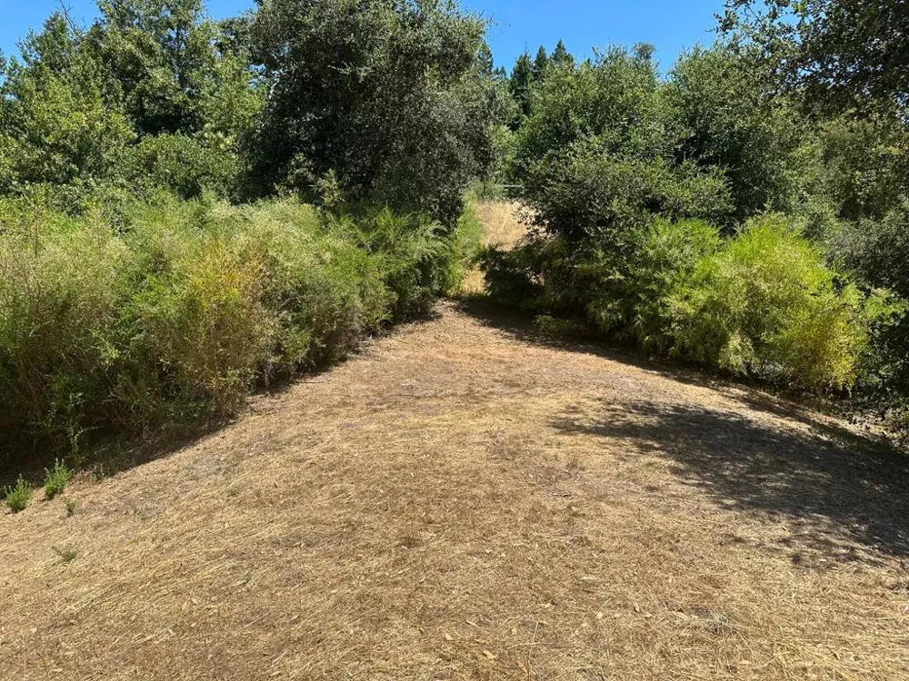 Main Boulevard Los Gatos, CA 95033