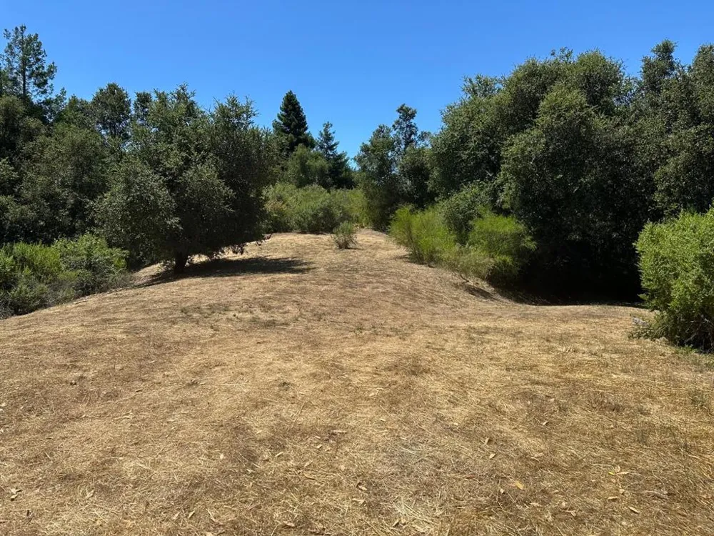 Main Boulevard Los Gatos, CA 95033