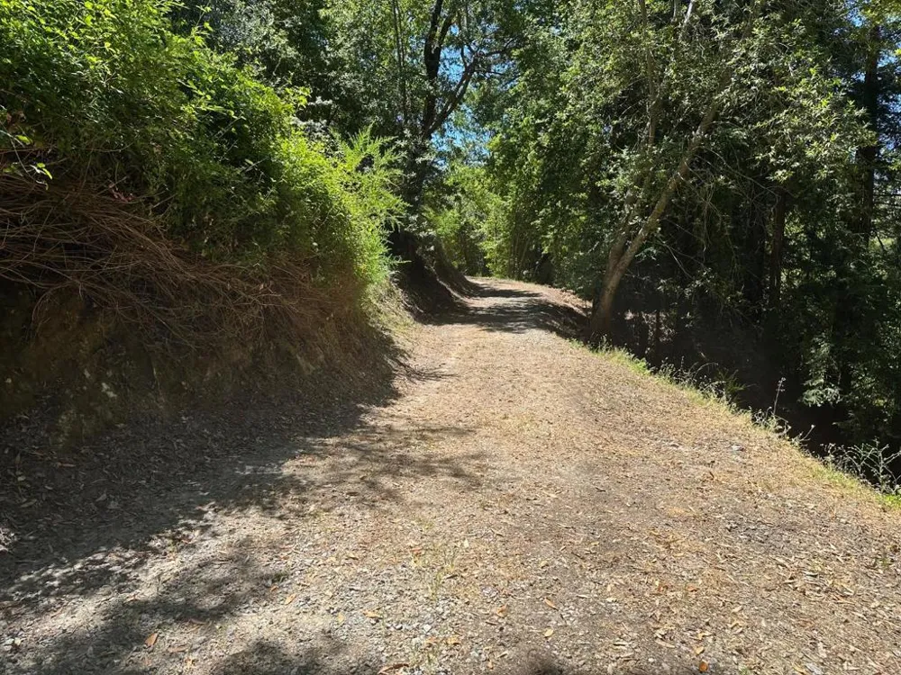 Main Boulevard Los Gatos, CA 95033