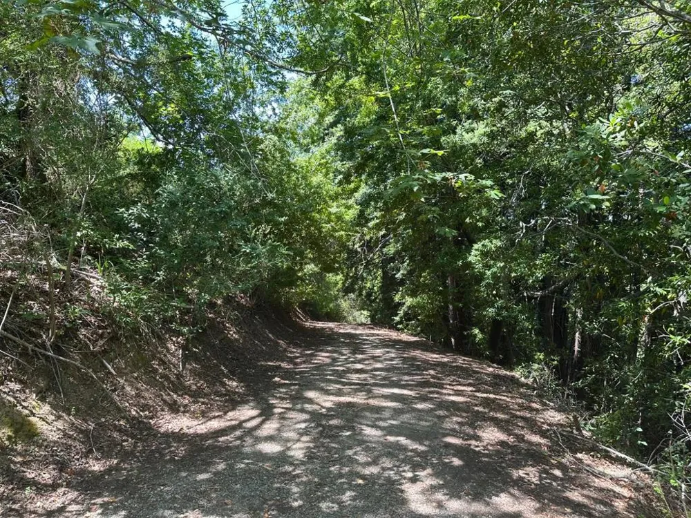 Main Boulevard Los Gatos, CA 95033