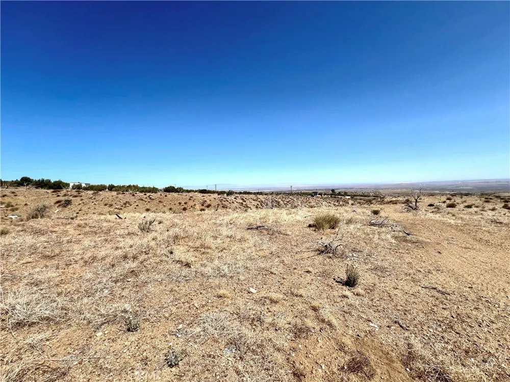 113 Juniper Mesa Road Juniper Hills, CA 93543