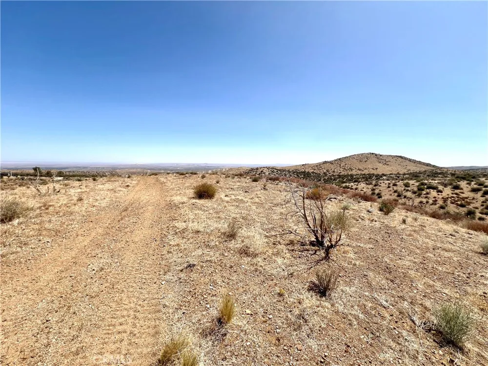 113 Juniper Mesa Road Juniper Hills, CA 93543