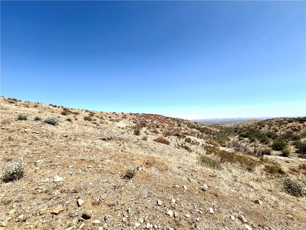 113 Juniper Mesa Road Juniper Hills, CA 93543