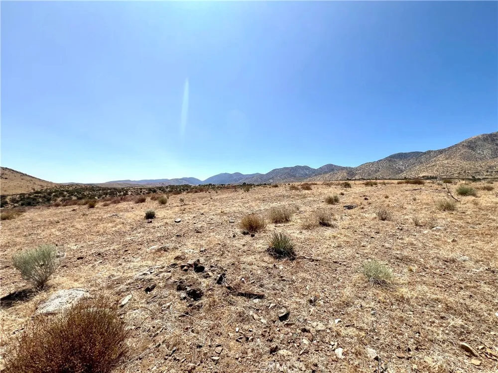 113 Juniper Mesa Road Juniper Hills, CA 93543