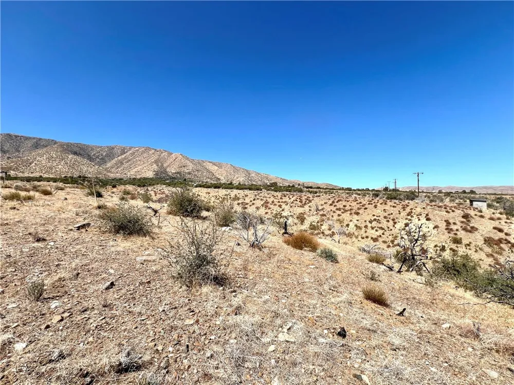 113 Juniper Mesa Road Juniper Hills, CA 93543