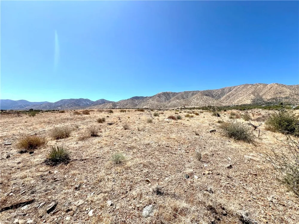 113 Juniper Mesa Road Juniper Hills, CA 93543