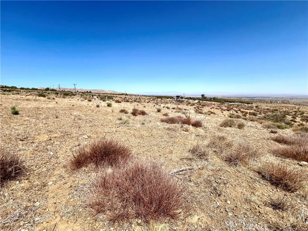 113 Juniper Mesa Road Juniper Hills, CA 93543