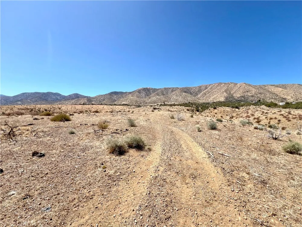 113 Juniper Mesa Road Juniper Hills, CA 93543