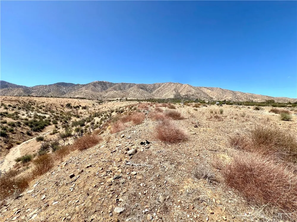 113 Juniper Mesa Road Juniper Hills, CA 93543