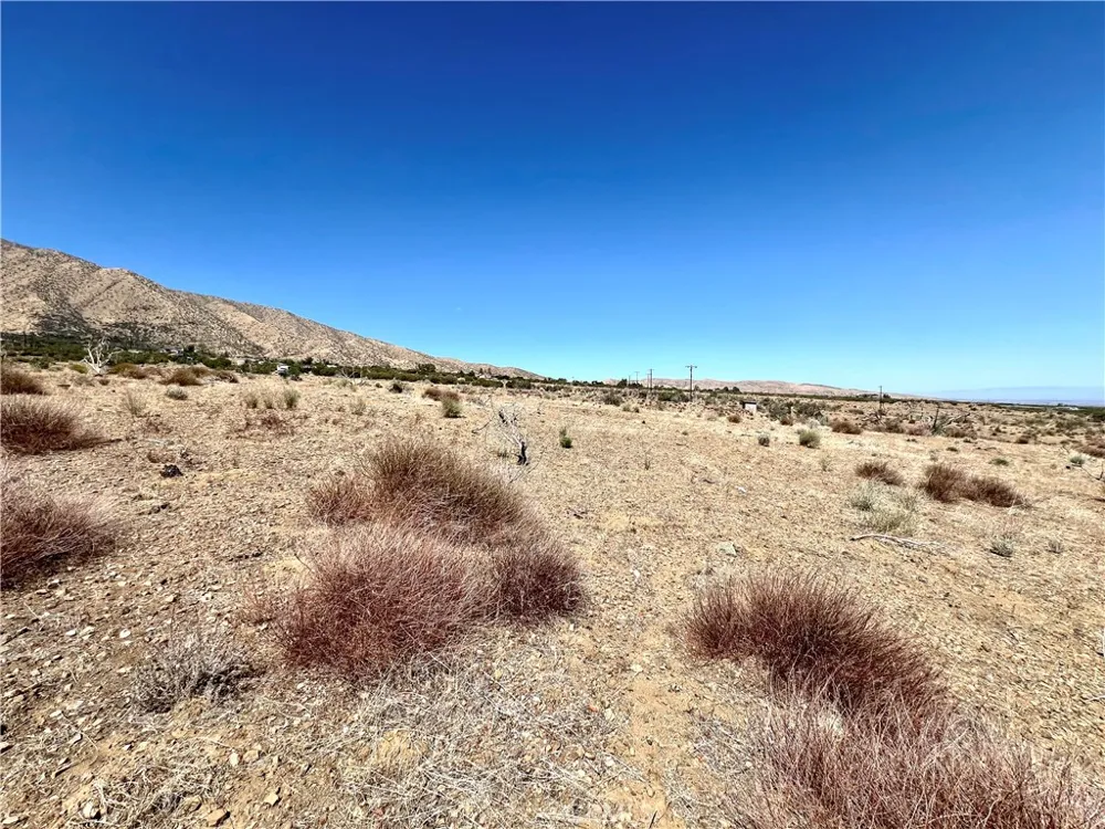 113 Juniper Mesa Road Juniper Hills, CA 93543