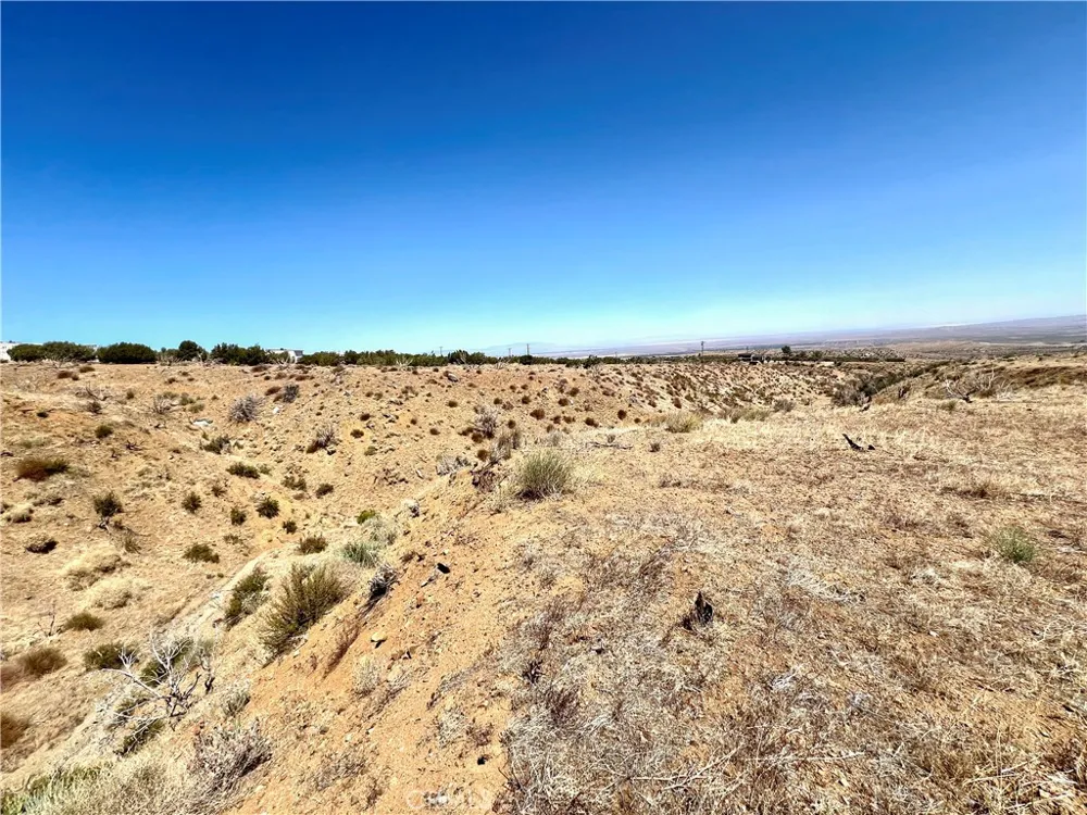 113 Juniper Mesa Road Juniper Hills, CA 93543