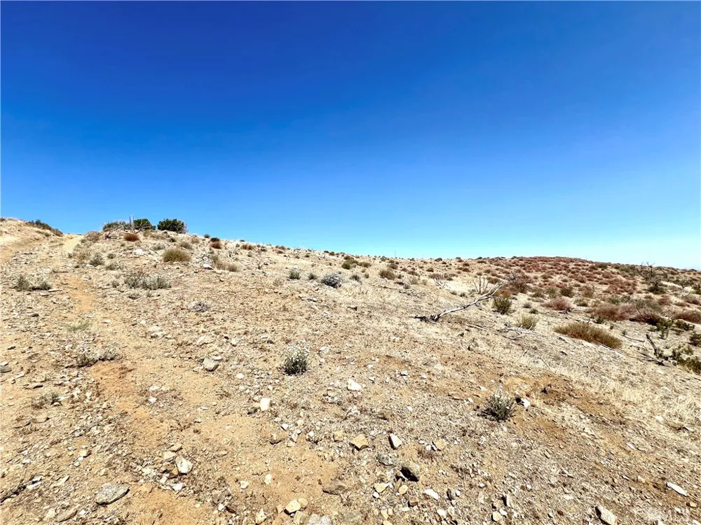 113 Juniper Mesa Road Juniper Hills, CA 93543