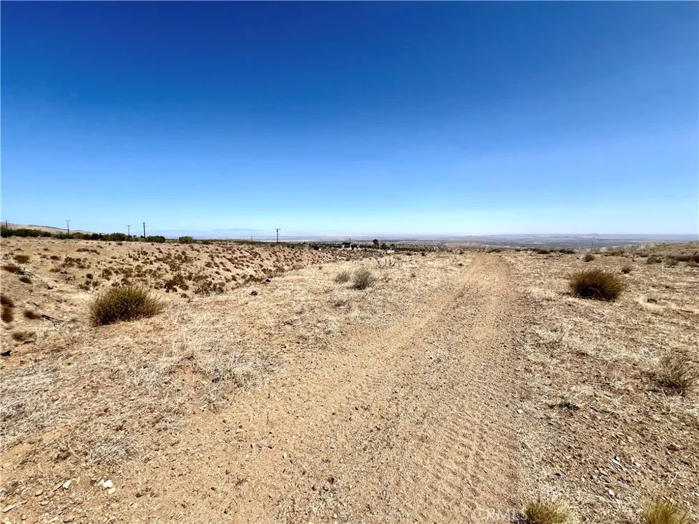 113 Juniper Mesa Road Juniper Hills, CA 93543