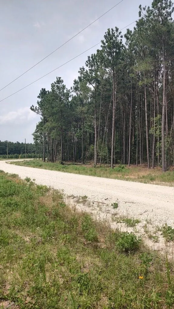 82 Collin St Lovelady, TX 75851