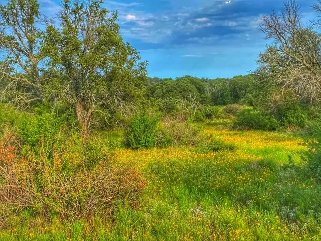 CR 296 Richland Springs, TX 78761