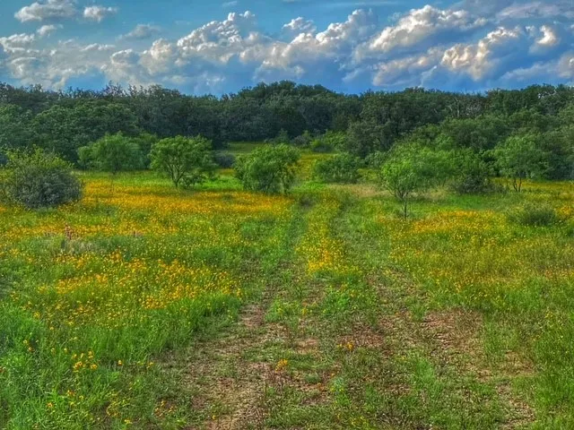 CR 296 Richland Springs, TX 78761
