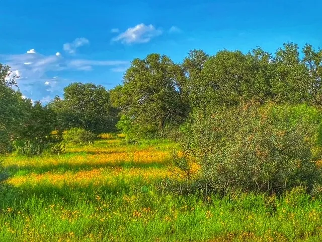 CR 296 Richland Springs, TX 78761