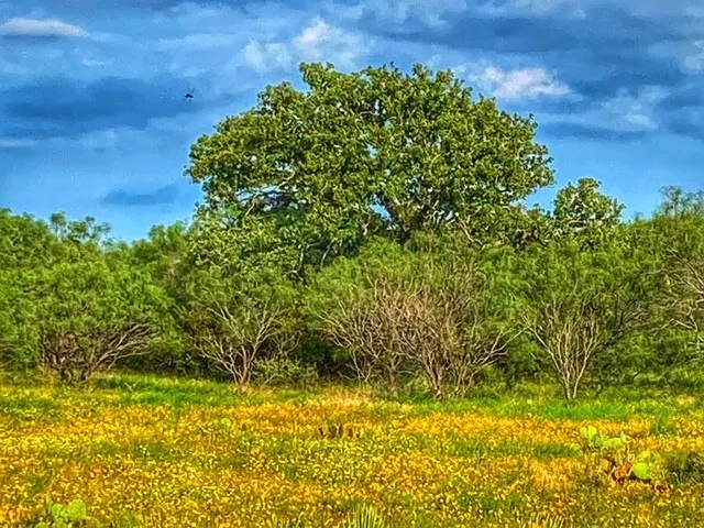 CR 296 Richland Springs, TX 78761