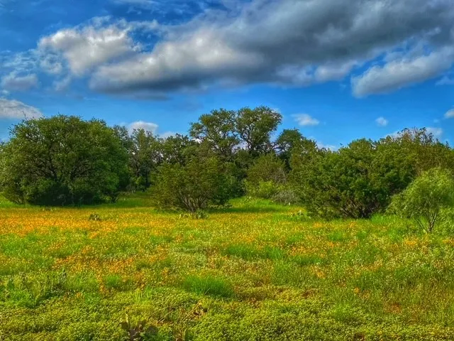 CR 296 Richland Springs, TX 78761