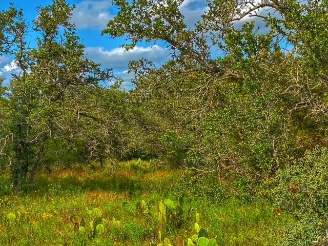 CR 296 Richland Springs, TX 78761