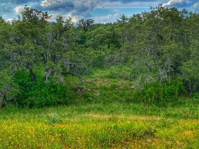 CR 296 Richland Springs, TX 78761