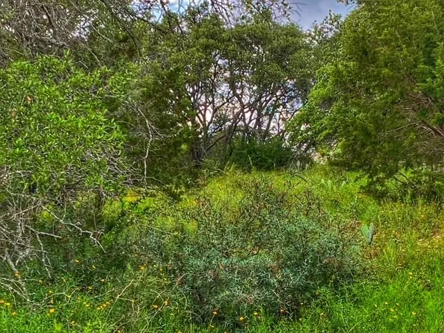 CR 296 Richland Springs, TX 78761