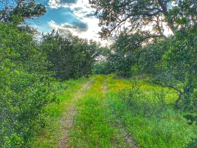CR 296 Richland Springs, TX 78761