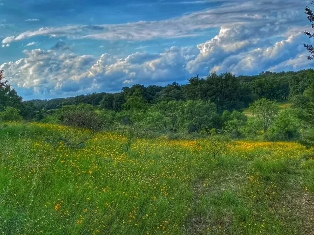 CR 296 Richland Springs, TX 78761