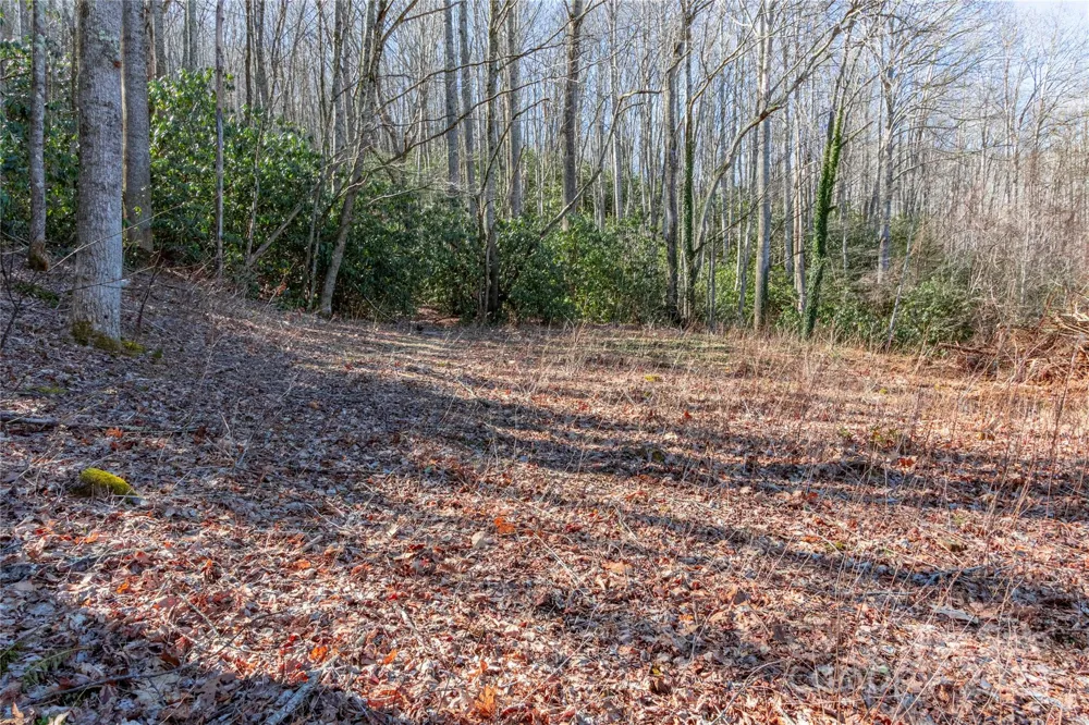 0 Landis Lane Burnsville, NC 28714
