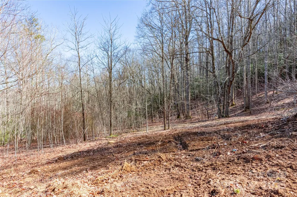 0 Landis Lane Burnsville, NC 28714