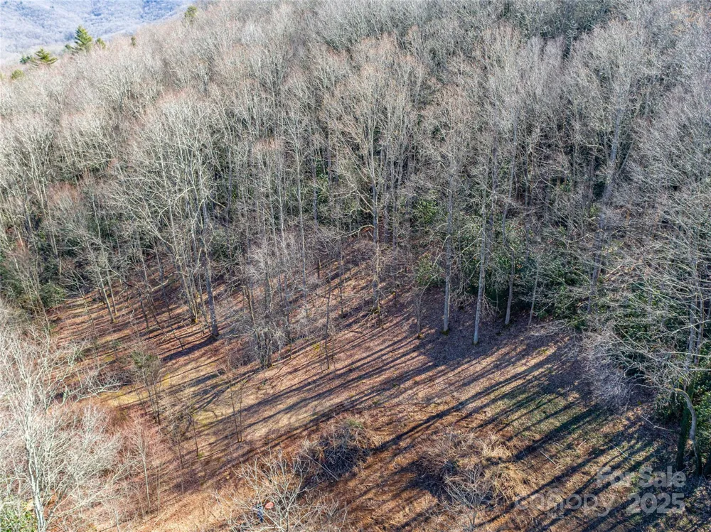 0 Landis Lane Burnsville, NC 28714