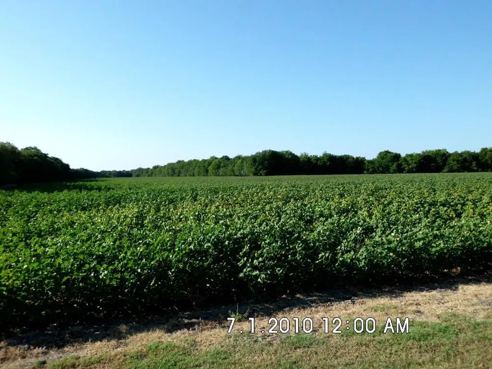 Fm 744 Malone, TX 76660
