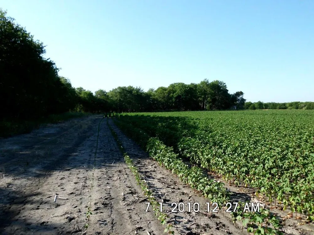 Fm 744 Malone, TX 76660