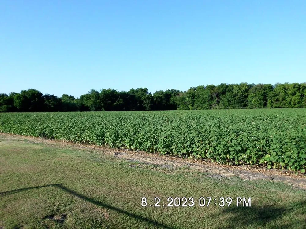 Fm 744 Malone, TX 76660