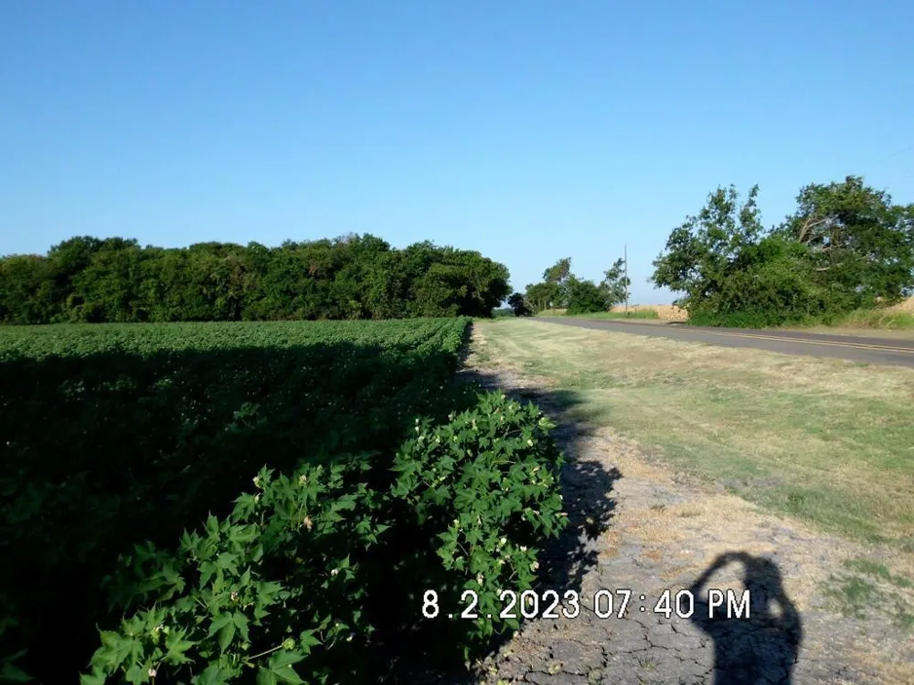 Fm 744 Malone, TX 76660