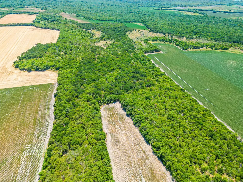 Fm 744 Malone, TX 76660